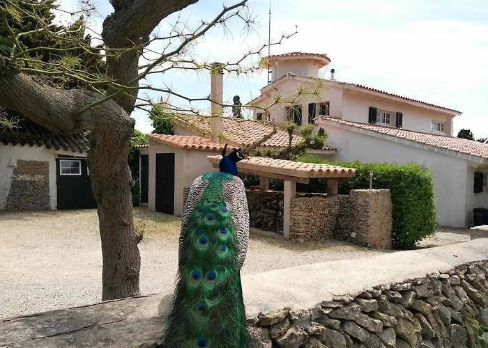 Willa Son Temet Es Mercadal