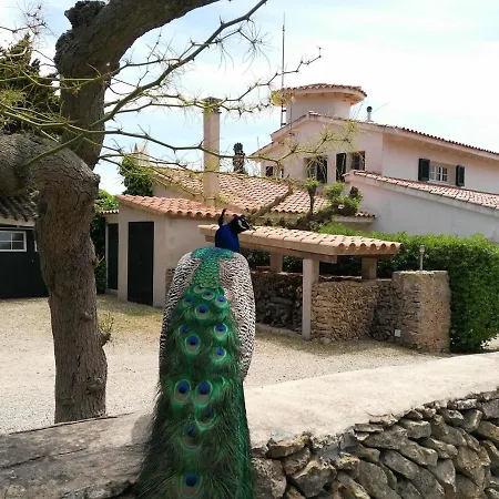 Villa Son Temet Es Mercadal